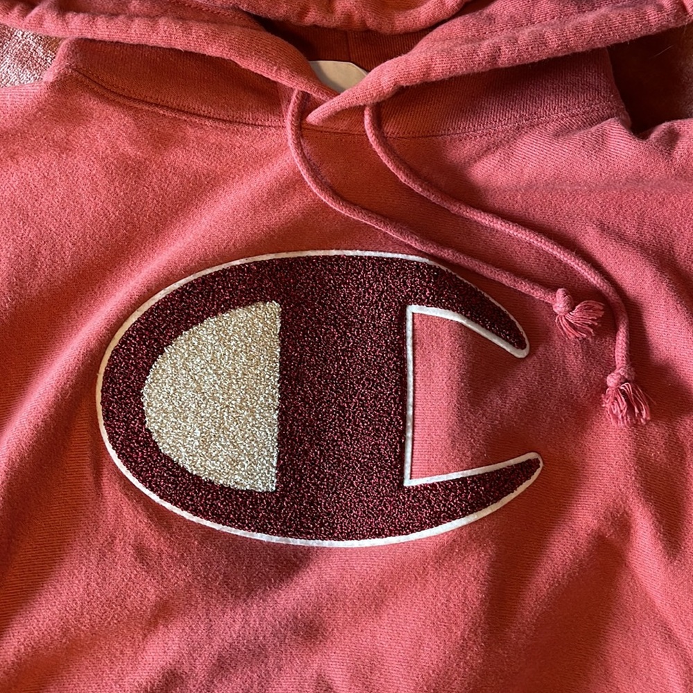 CHAMPION HOODIE